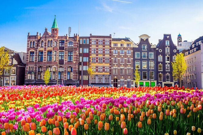 Amsterdam Day Trip from Brussels - 4 hours of freedom: how to use your time in Amsterdam