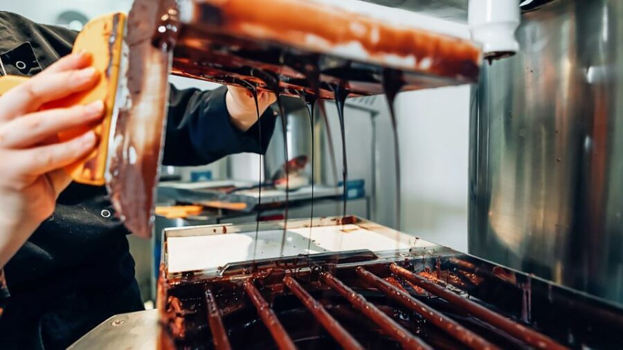 Brussels: Belgian Chocolate Making Workshop with Tastings - Tastings that teach your palate: beans, liquor, origins, and mucilage