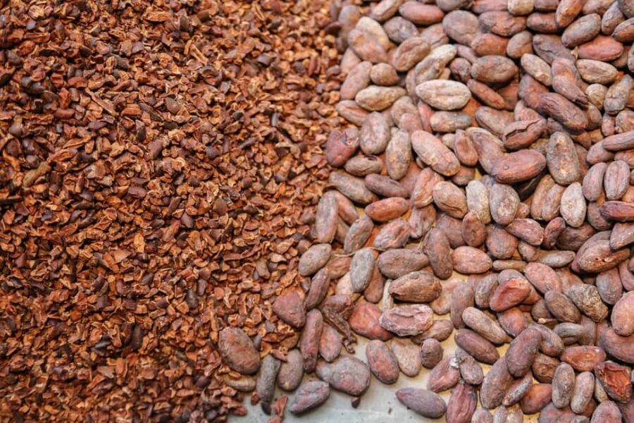 Brussels: Chocolate Appreciation and Tasting Walking Tour - Who this tour suits best (and who should skip it)