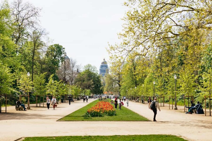 Brussels: City Highlights and Hidden Gems Bike Tour - The Café and Bar Break: More Than a Pause