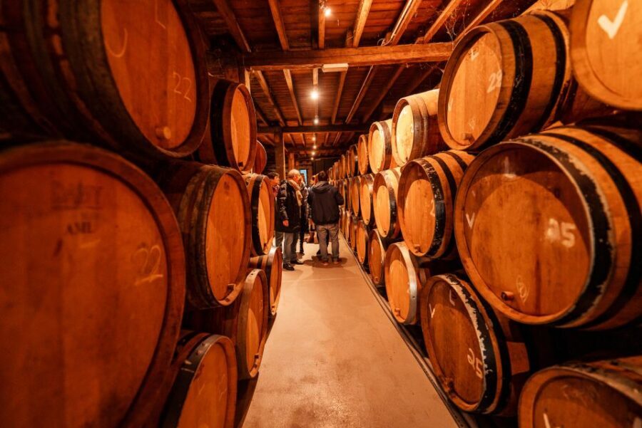 Brussels: Discover Belgium's Breweries with a Local - Why Brussels beer tastes like the real deal