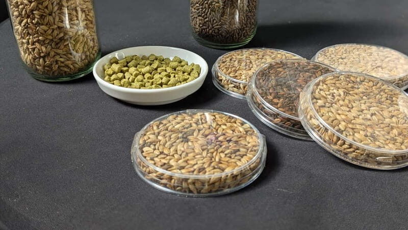 Brussels: micro brewery & distillery tour + beer tasting - The 1-hour guided tour: brewery and distillery, explained in plain terms