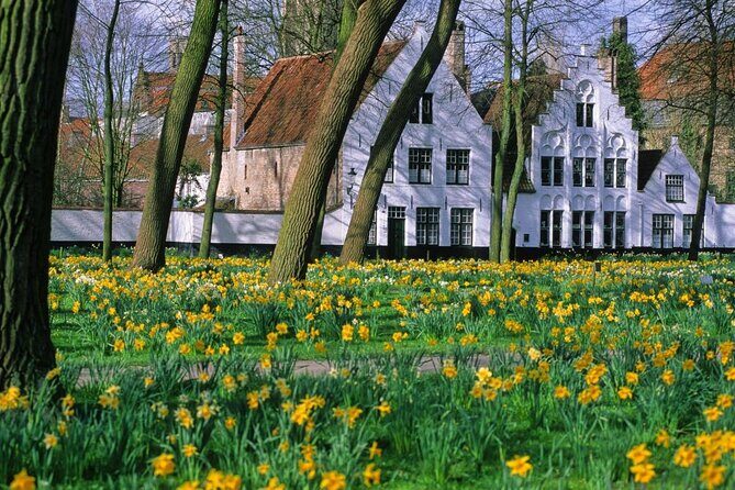 Brussels to Bruges: Private & Personalized Day Trip with a Local - A Private Bruges Plan Built Around Your Interests