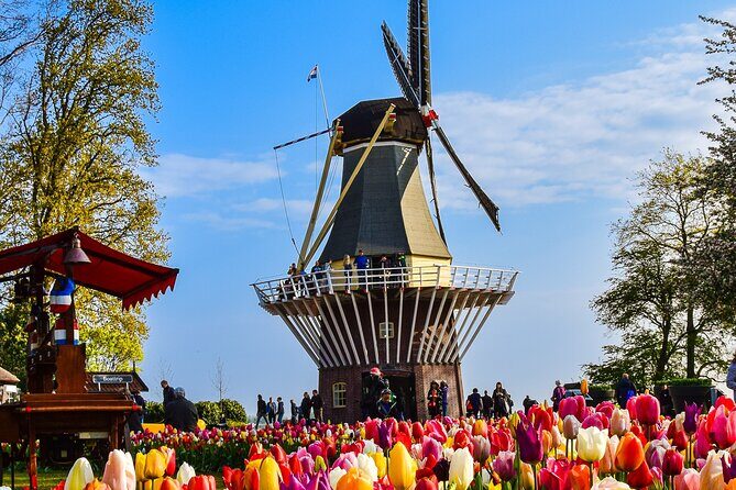 Delft and Keukenhof Gardens Tour from Brussels - From Brussels at 8:00: Coach, meeting point, and what the day rhythm feels like
