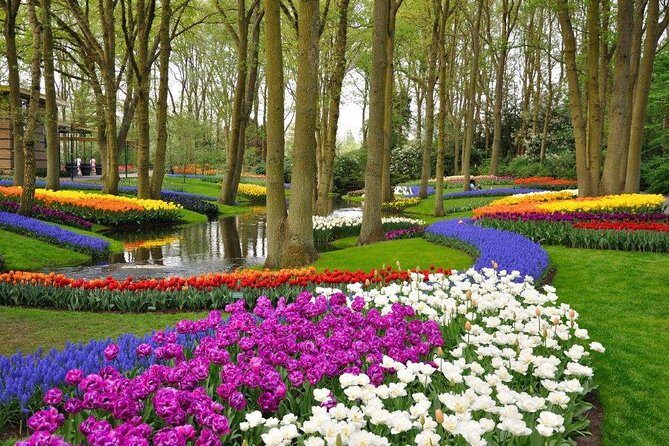 Delft and Keukenhof Gardens Tour from Brussels - The most time-efficient Delft plan: how 3 stops still gives you a feel for the town