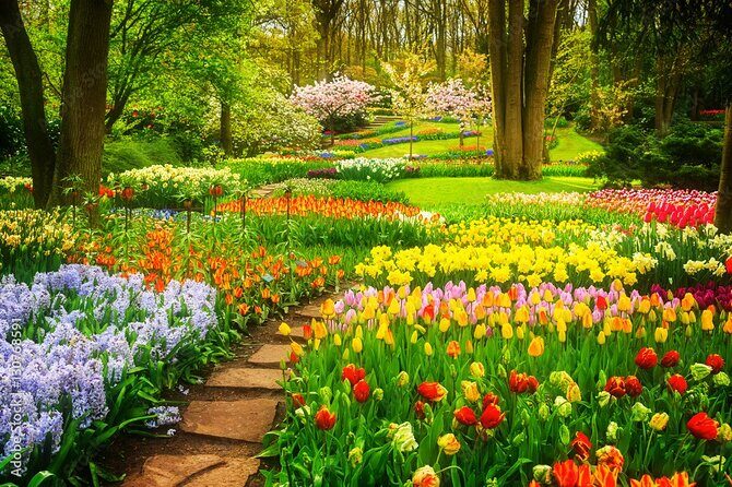 Delft and Keukenhof Gardens Tour from Brussels - Value check: is the $106.65 price fair for what you get?