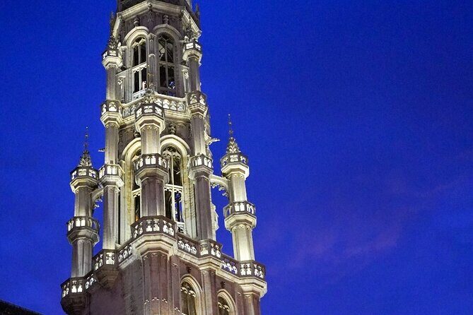 Evening Tour: The Dark Side of Brussels - Price and logistics: the real value is the guide and the route