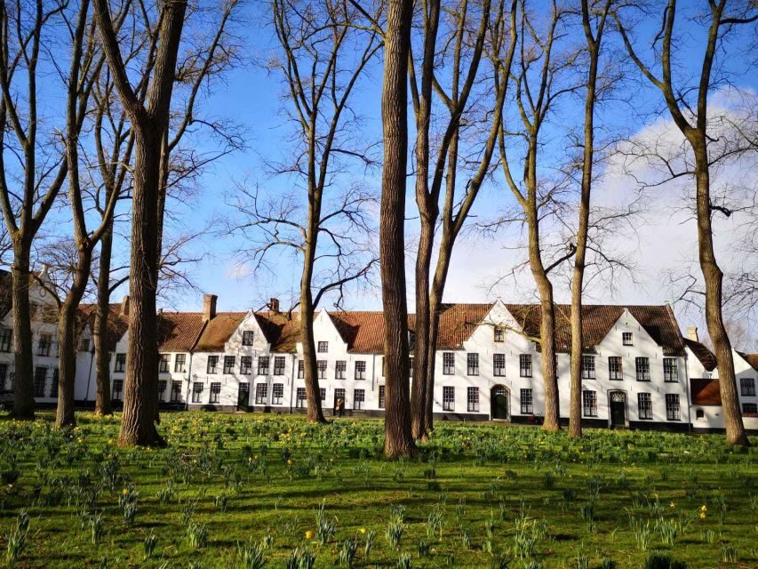 From Brussels: Bruges Day Trip with Boat Tour Option (ES) - Optional Canal Boat Ride in Your 4 Hours of Free Time
