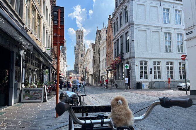 Private Full-Day Tour Bruges & Ghent from Brussels with tastings - Timing and food: how to handle “lunch not included”